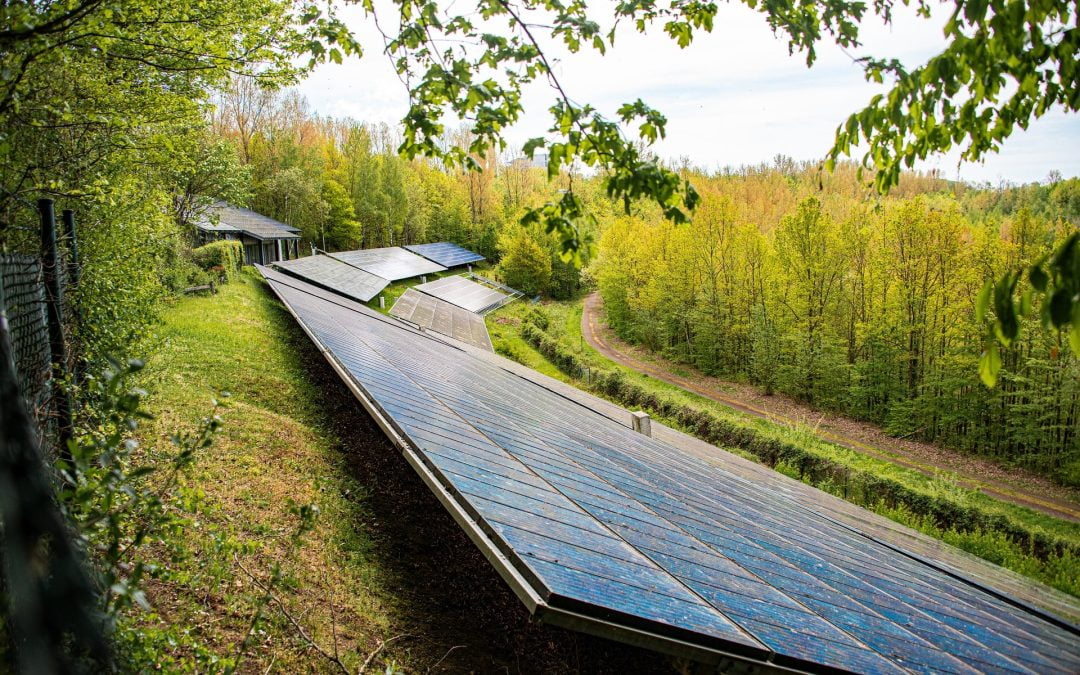 Sonne im Tank: Die Revolution der Solarenergie im Zeitalter der Nachhaltigkeit