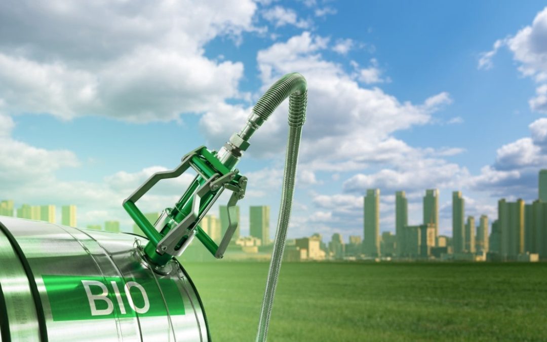 Biokraftstoffe – eine Alternative zu anderen Energiequellen